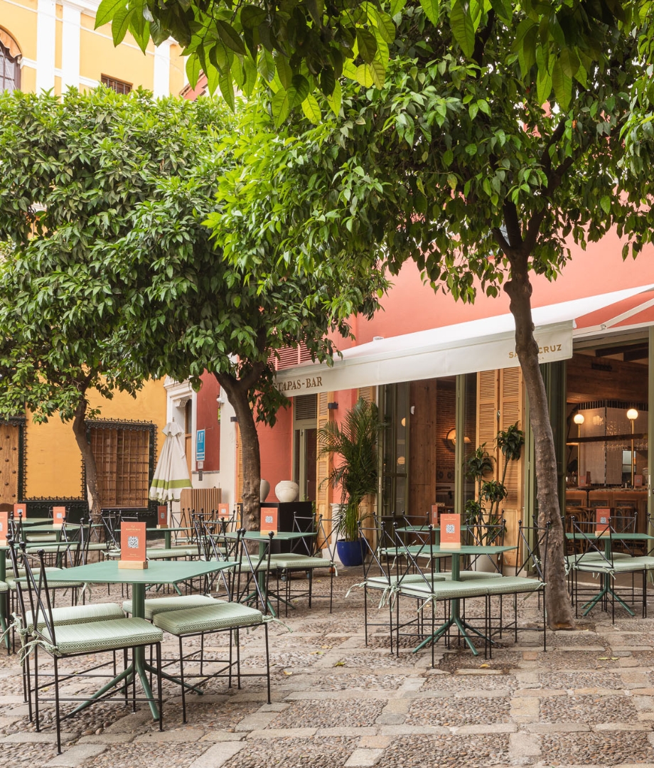 Santacruz Terraza